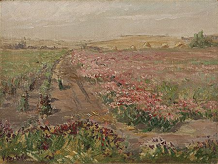 Flower fields