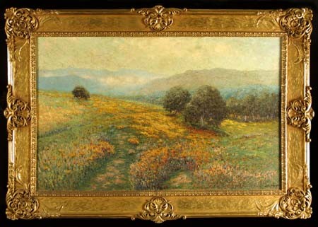 Poppy Fields in Panoramic California Landscape