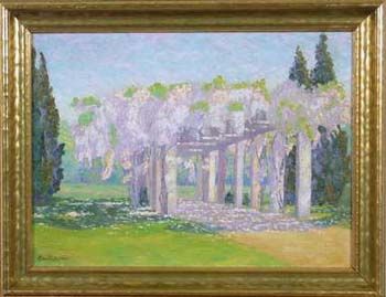 Wisteria on Arbor