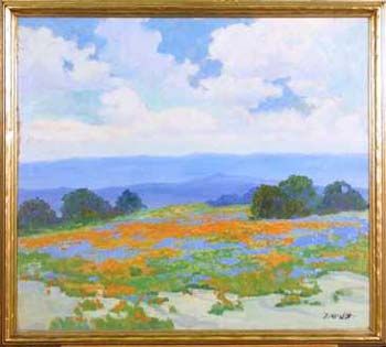 Atmospheric Flower Fields