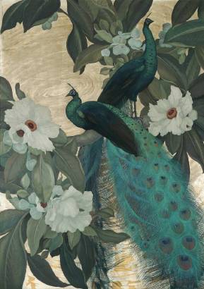 Javanese Peacocks