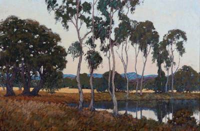 Eucalyptus landscape