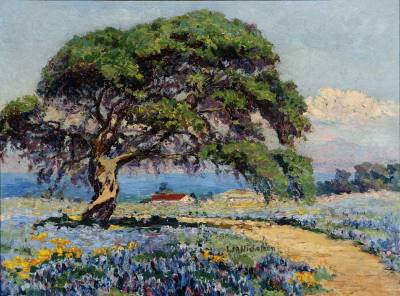 House in coastal landscape
