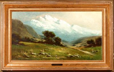 Mt. Shasta Mountain Landscape