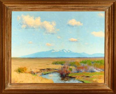 Panoramic Colorado Landscape
