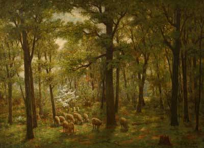 Sheep In Wooded Landscape