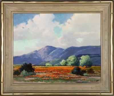 Landscape - poppies & lupine