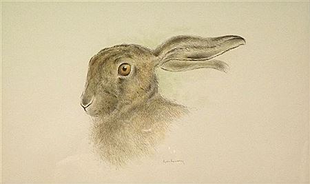 Lièvre