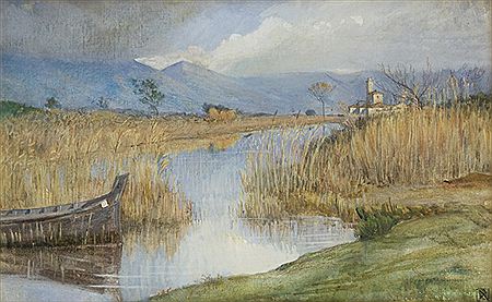 REFLECTIONS IN THE FEN