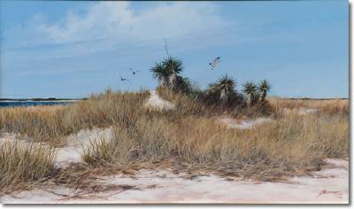Low Country Afternoon