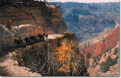 Grand Canyon From the South Rim