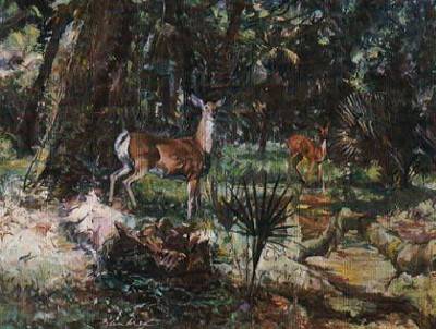 Fauna of the Low Country