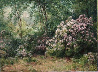 Mountain Laurel