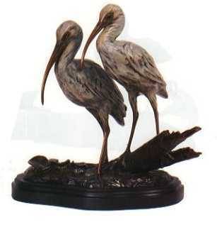 Ibis