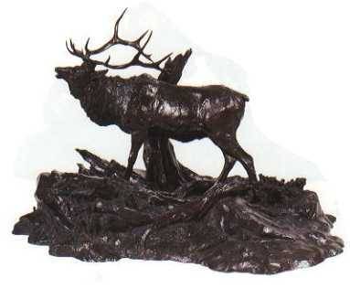 Elk Territory