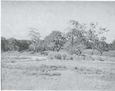 Marsh Scene