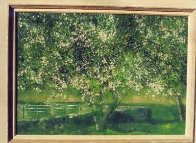 Flowering Apple Tree