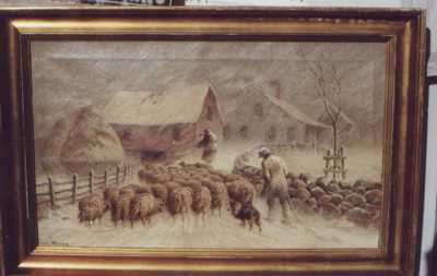 Sheep in Snowstorm