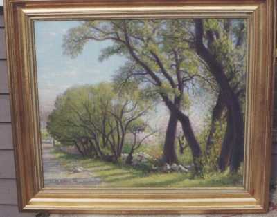 Willows in Rockport