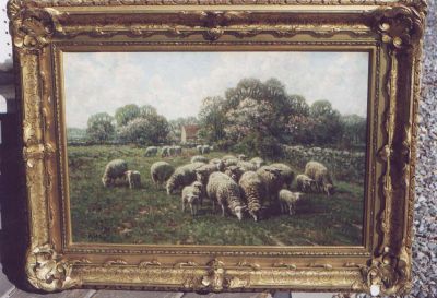 Sheep in Spring
