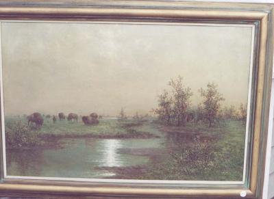 Buffalo at the River