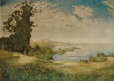 Blick von leichter Anhöhe mit blühender Wiese auf prachtvolle Bodensee(?)landschaft