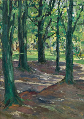 Parklandschaft mit sonniger Lichtung.
