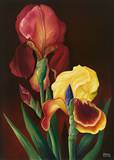 Sample artwork by Gunter Gruber (Born 1947), known for paintings - View similar artists and auction records
