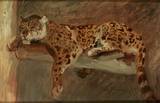 Sample artwork by Paul Klimsch (1868 - 1917), known for paintings - View similar artists and auction records