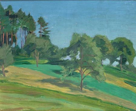 Sommerliche Baum-/Wiesenlandschaft.