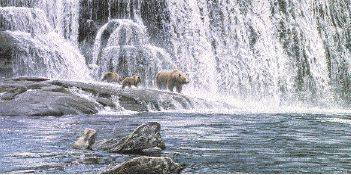 Grizzlies in the Falls