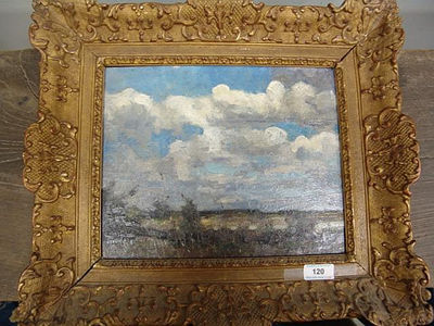 COASTAL LANDSCAPE