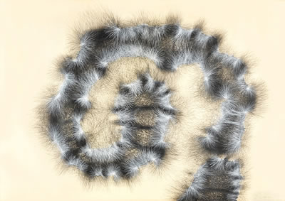 GATA PELUDA by Emilio J Renart - Auction record, sale price, and art valuation. Compare with similar artists and explore comparable artworks.
