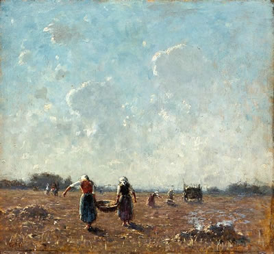 Potato harvest