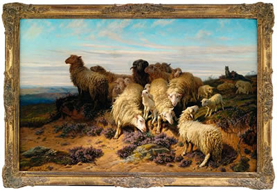 Flock of sheep in an extensive landscape.