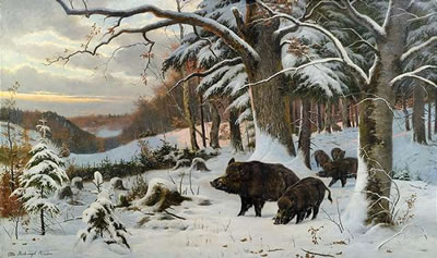 Wild boars in a wintry landscape