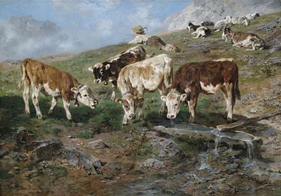 Jungvieh am Klausenpaß.