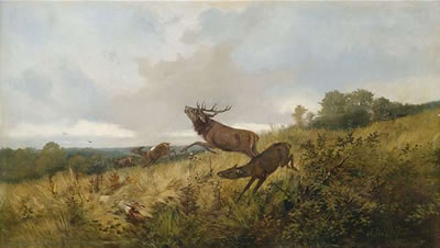 Rotwild in herbstlicher Landschaft.