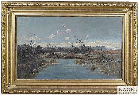 Marsh landscape in the foothills