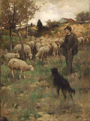 Tending Sheep