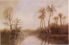 Palm and Mangrove Trees Along Water