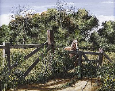 Horse on Farm