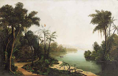 Tropical Landscape