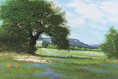 Road to the Ranch