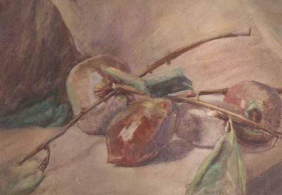 Still Life with Persimmons