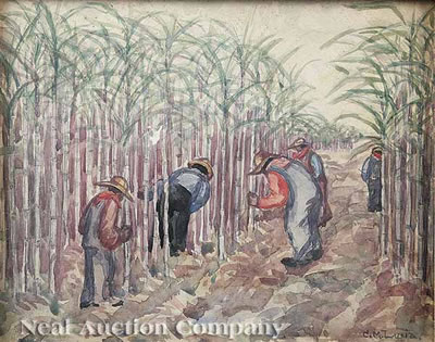 Cutting Sugar Cane