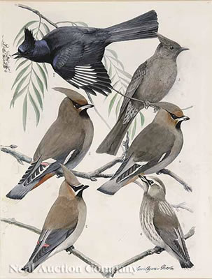 "Pygmy Nuthatch, Brown-Headed Nuthatch, Red-Breasted Nuthatch, White-Breasted Nuthatch", on branches "Phainopeple, Bohemian Waxwing, Cedar Waxwing", on "Pine Siskin, Goldfinch", [numbered in pencil both obverse and reverse] on flowering twigs"Worthern's