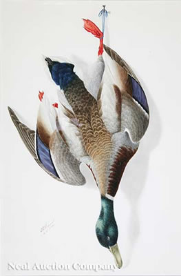 Nature Morte: Green Headed Mallard Duck by George Viavant - Auction record, sale price, and art valuation. Compare with similar artists and explore comparable artworks.