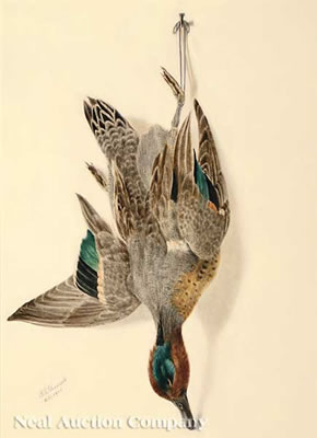Green-Winged Teal by George Viavant - Auction record, sale price, and art valuation. Compare with similar artists and explore comparable artworks.