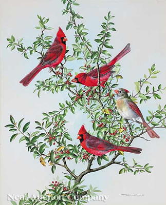 "Cardinals" by Basil Rashley Ede - Auction record, sale price, and art valuation. Compare with similar artists and explore comparable artworks.